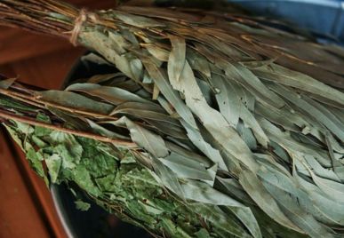 esencias aromaticas para saunas